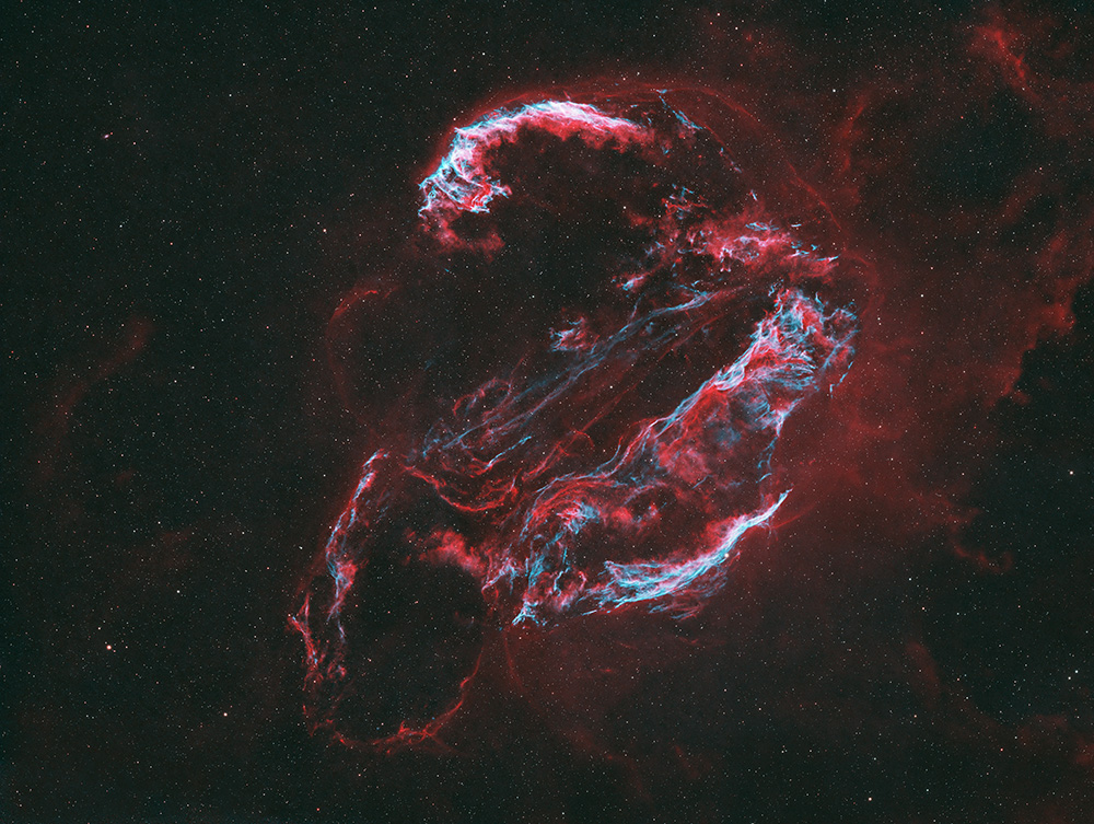 The Cygnus Loop